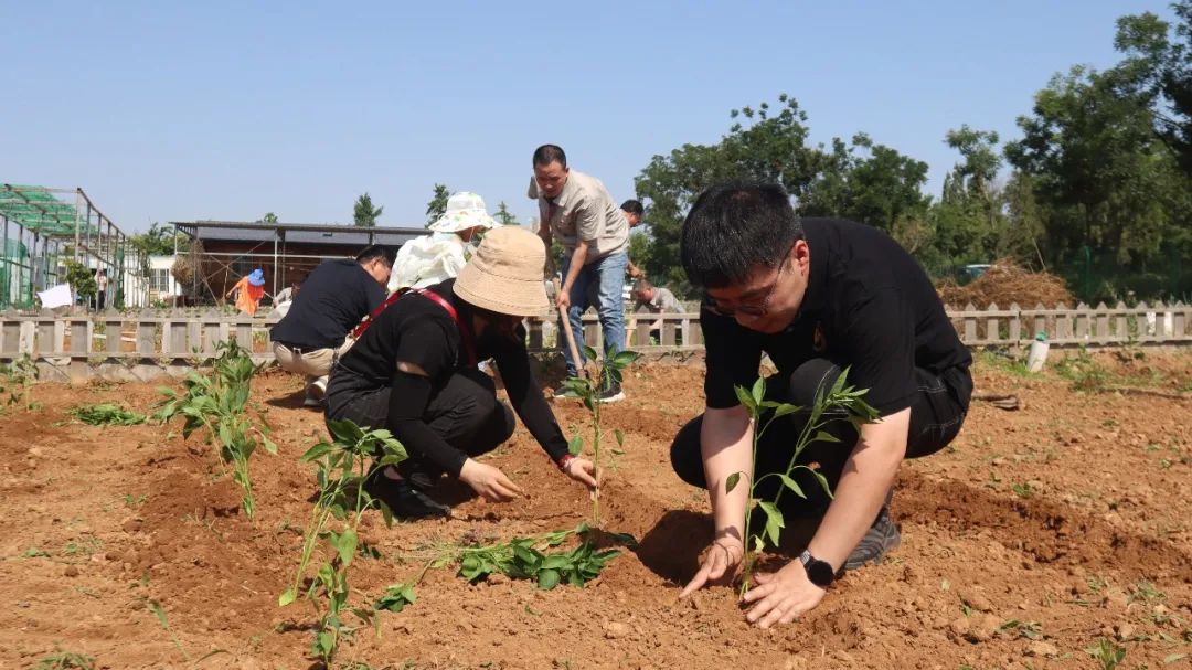 六台盒宝典资料大全