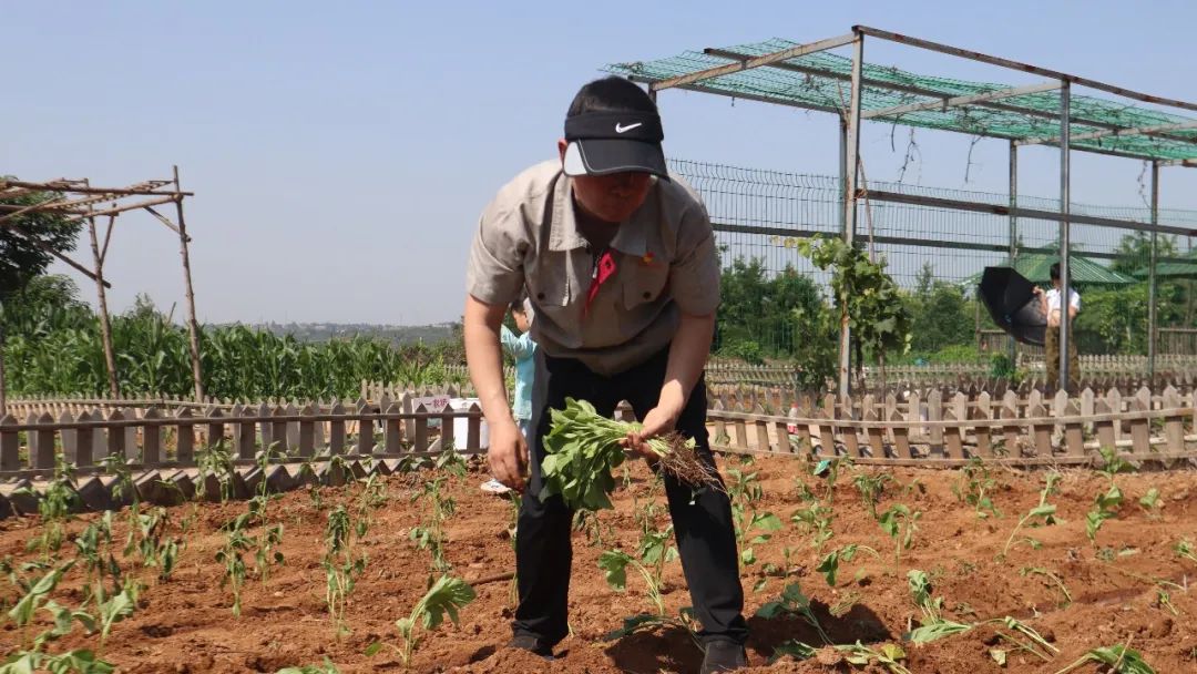 六台盒宝典资料大全