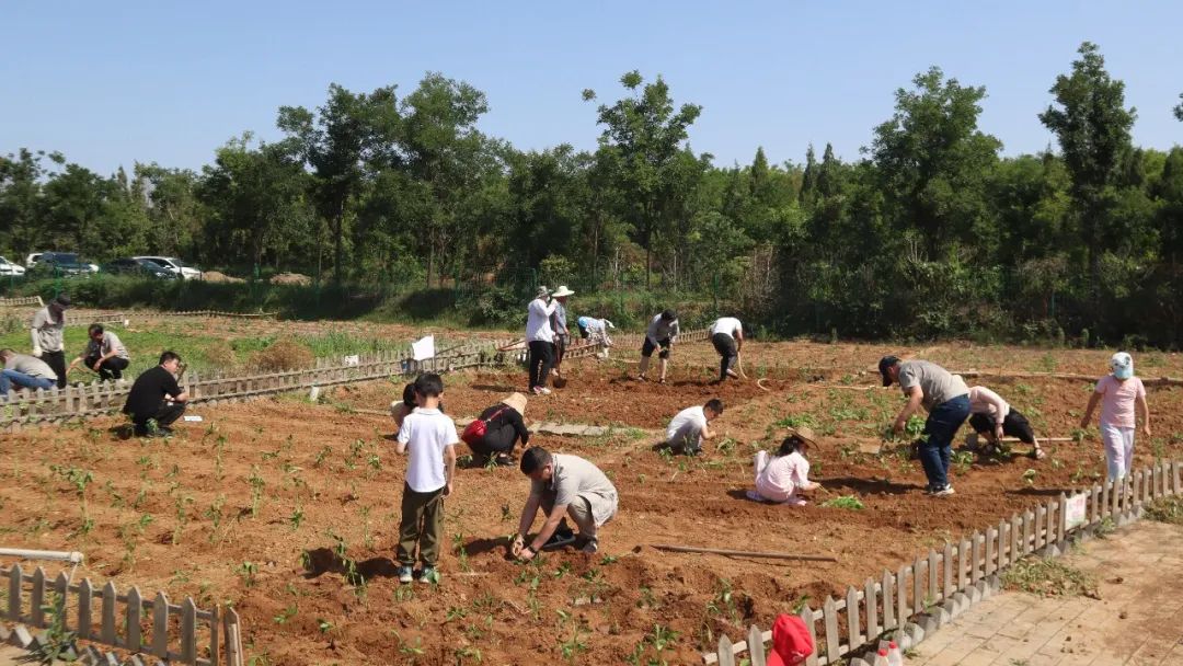 六台盒宝典资料大全