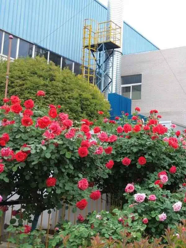 六台盒宝典资料大全