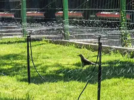 六台盒宝典资料大全